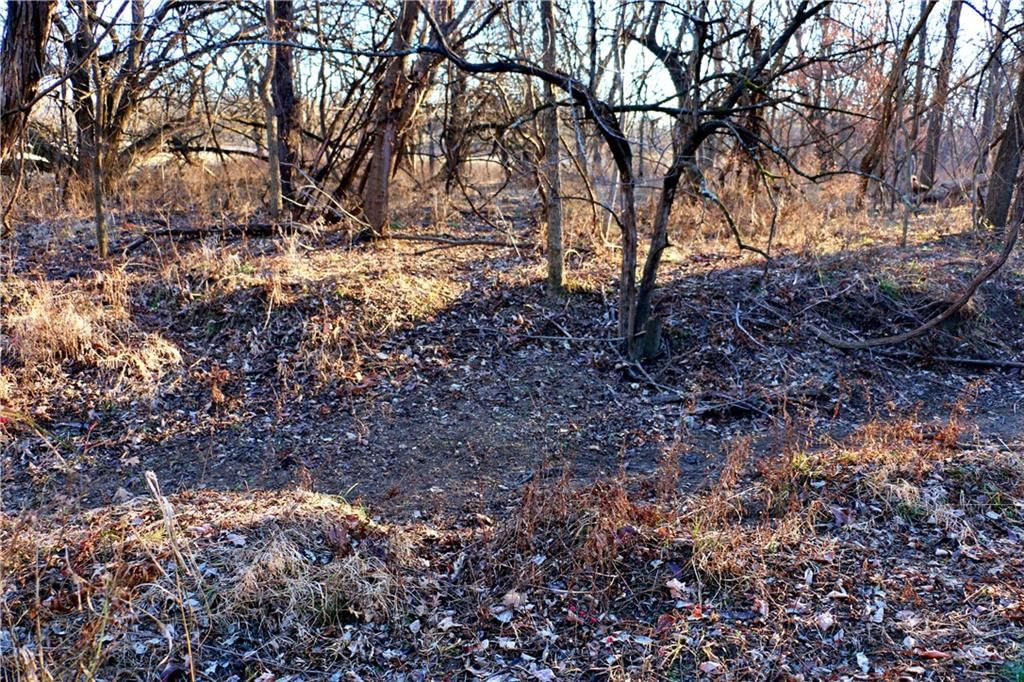 SW 1200th Rd Road — photo 26
