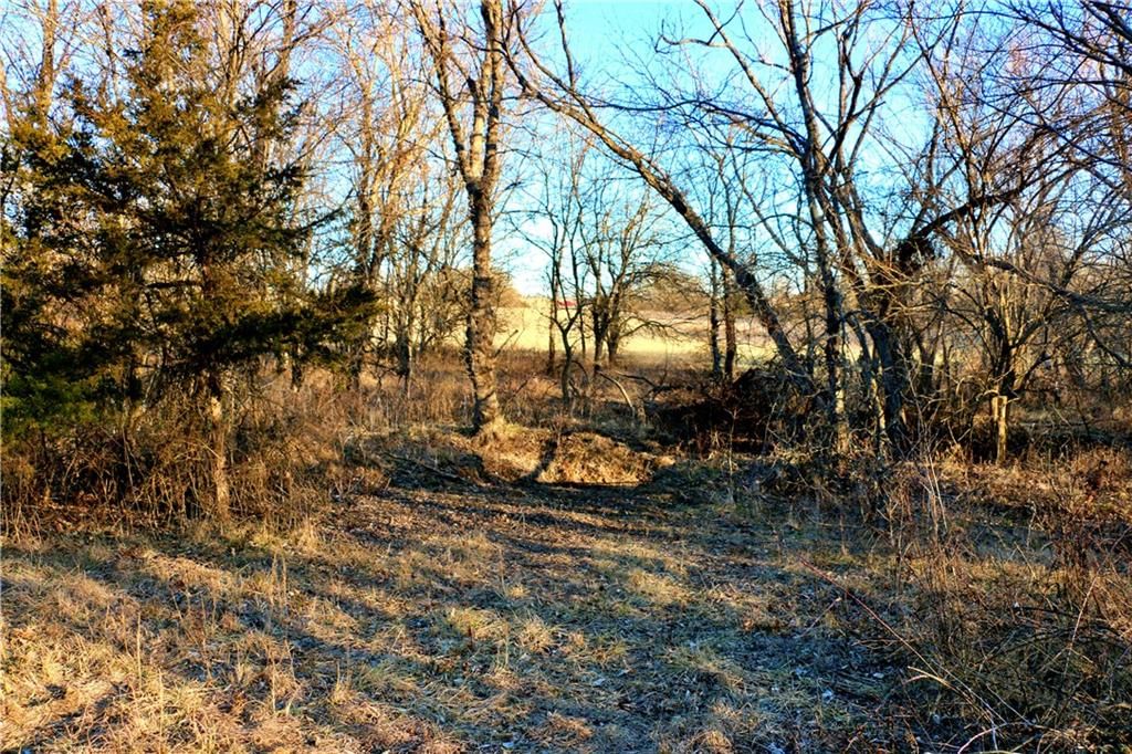 SW 1200th Rd Road — photo 27
