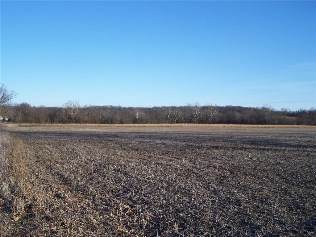 Lot 4 Jameson Road — photo 2