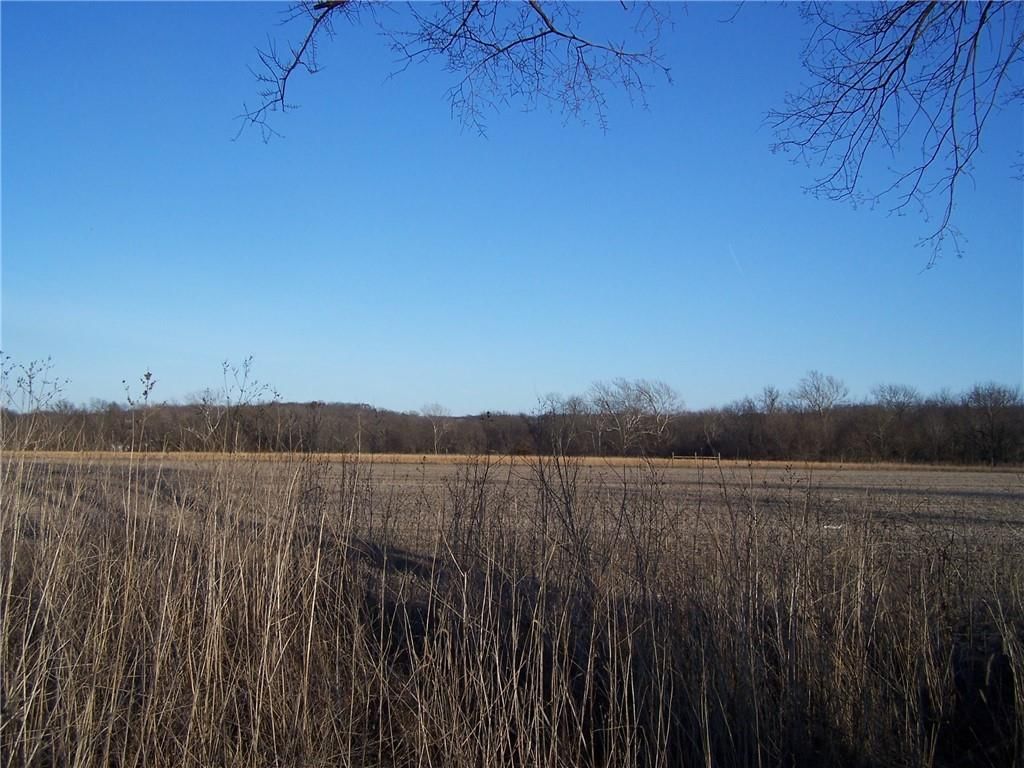 Lot 5 Jameson Road — photo 3