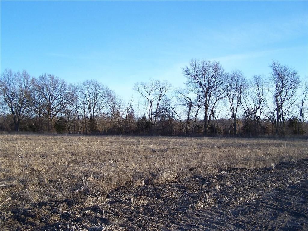 Lot 7 Jameson Road — photo 2