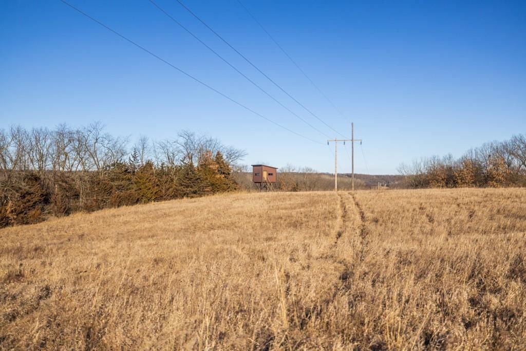 6108 State Z Highway — photo 80