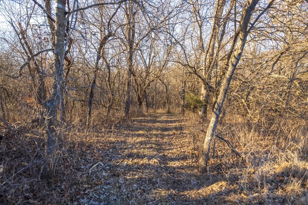 6108 State Z Highway — photo 81