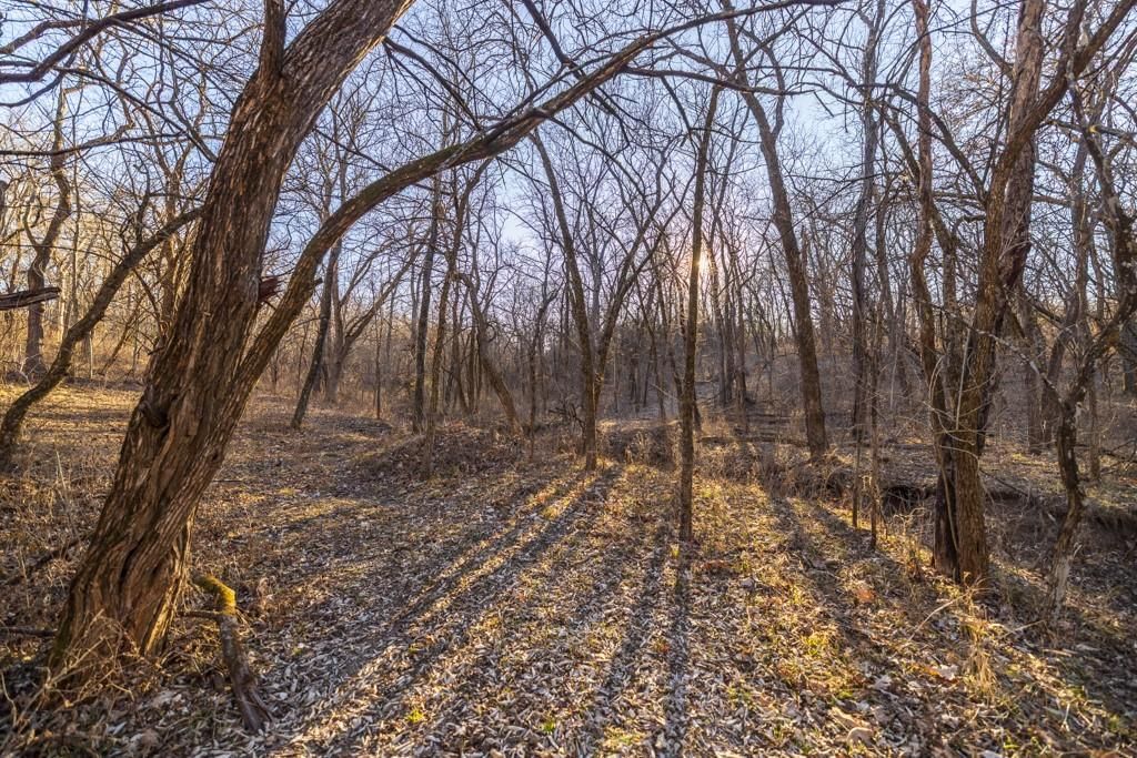 6108 State Z Highway — photo 82
