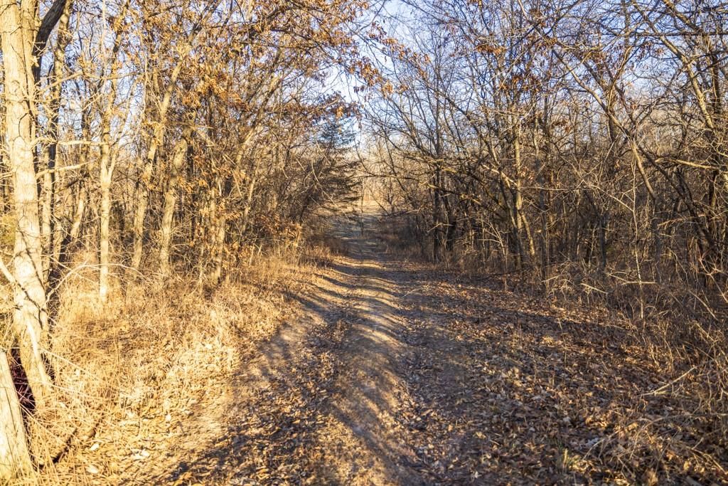 6108 State Z Highway — photo 84