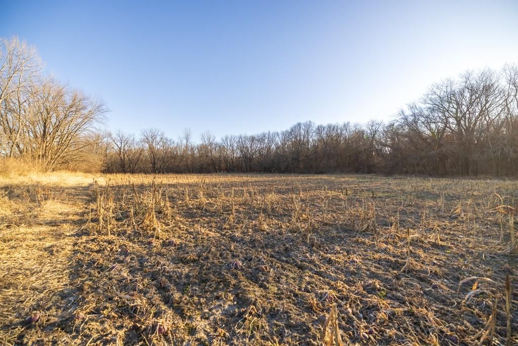 6108 State Z Highway — photo 87