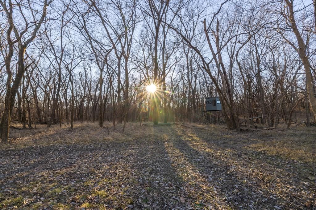 6108 State Z Highway — photo 91