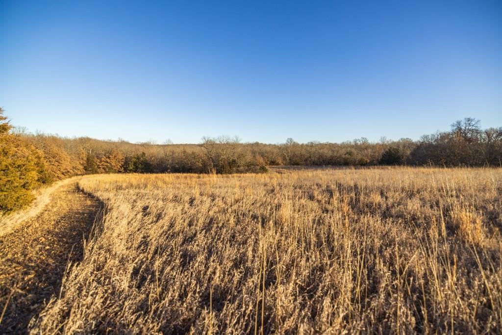 6108 State Z Highway — photo 92