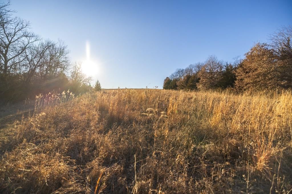 6108 State Z Highway — photo 93