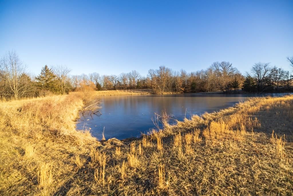 6108 State Z Highway — photo 96