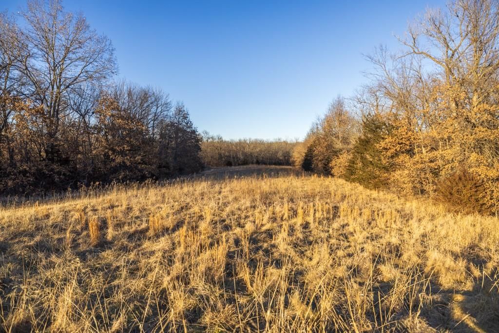 6108 State Z Highway — photo 97