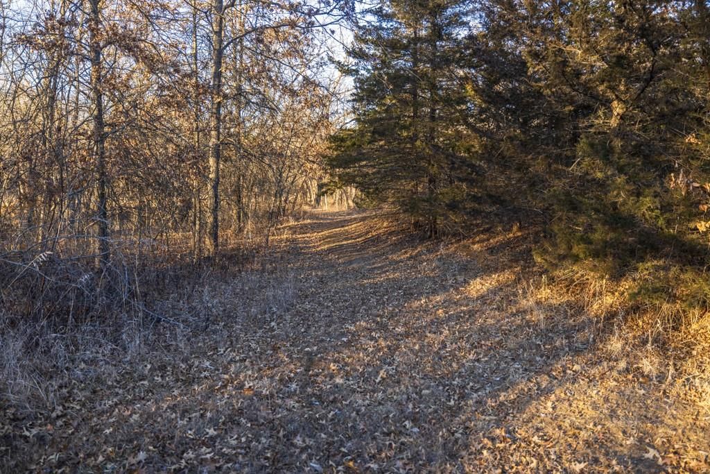 6108 State Z Highway — photo 98