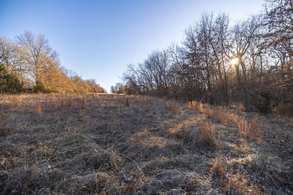 6108 State Z Highway — photo 99