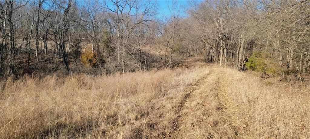 247th Victory Road — photo 3