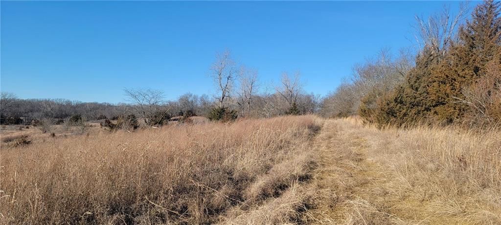 247th Victory Road — photo 10