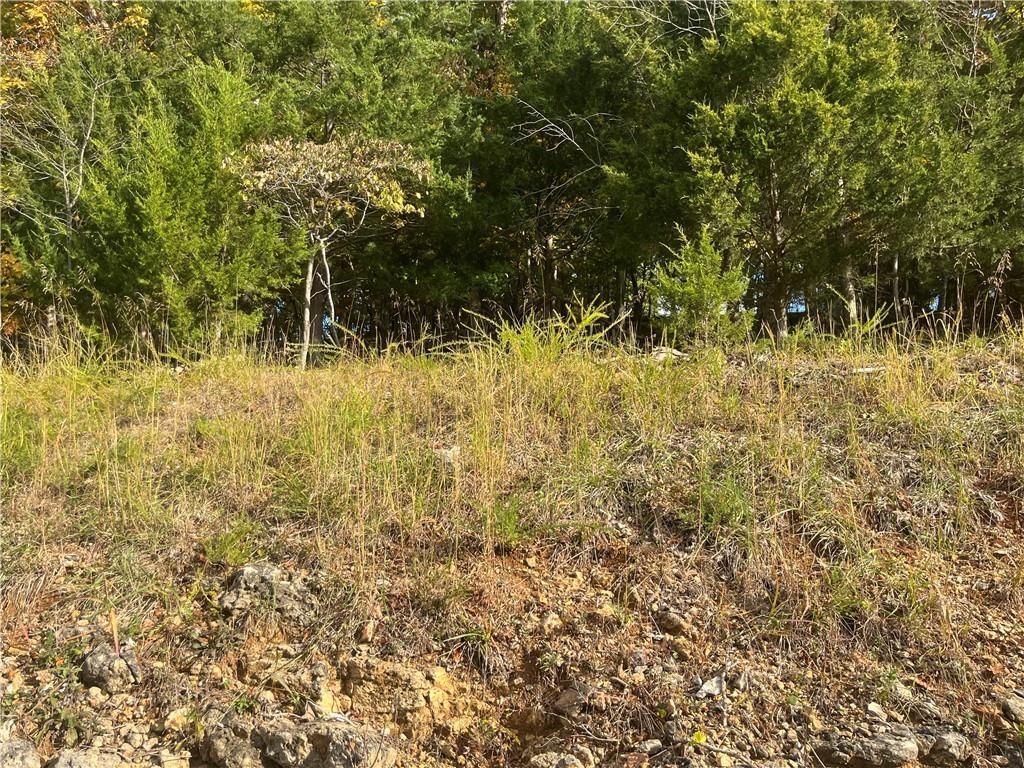Palisades Drive — photo 3