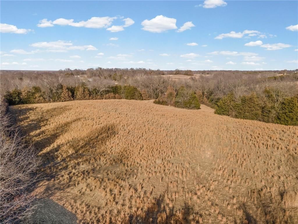 10155 Liv 233 Road — photo 4
