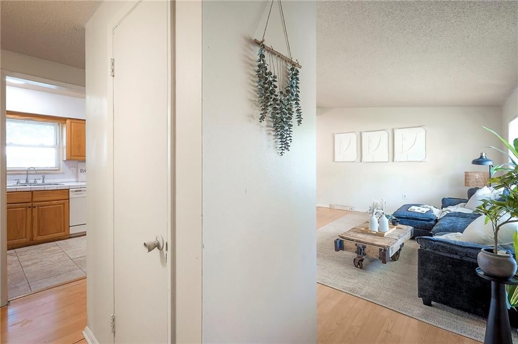 409 Corral Drive — photo 11
