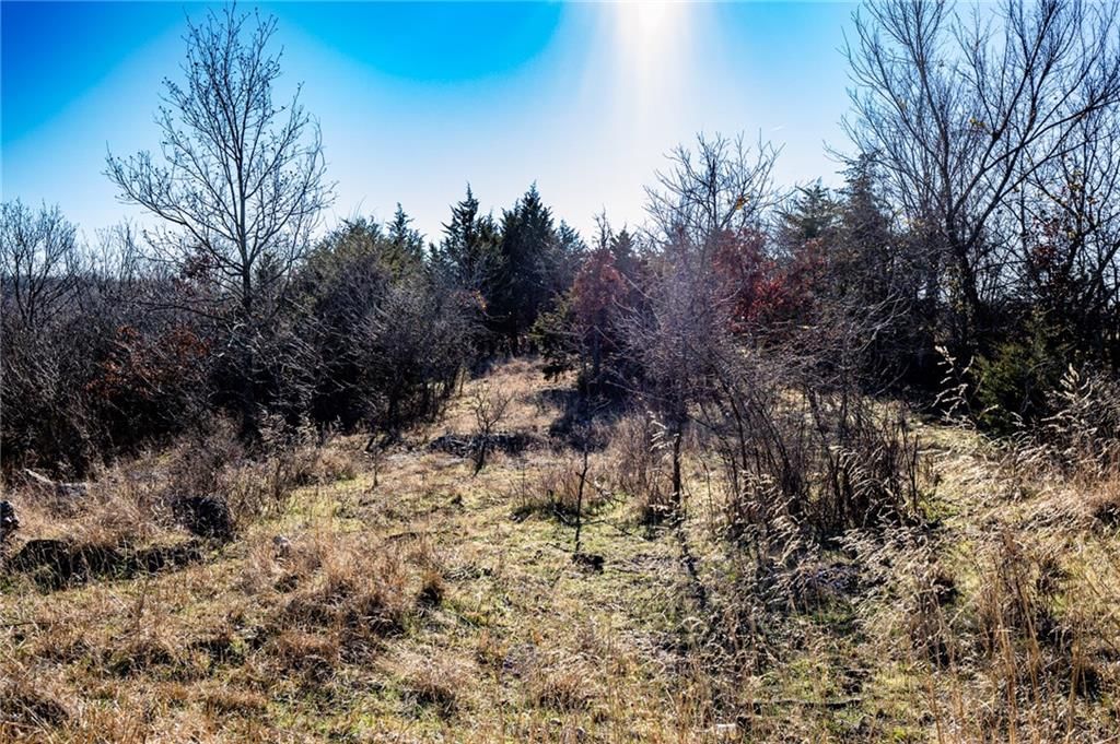 00000 Xavier Road — photo 10
