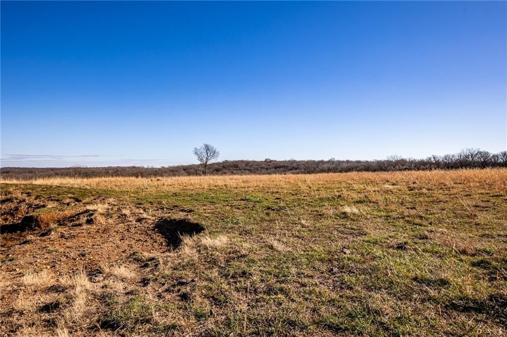 00000 Xavier Road — photo 19