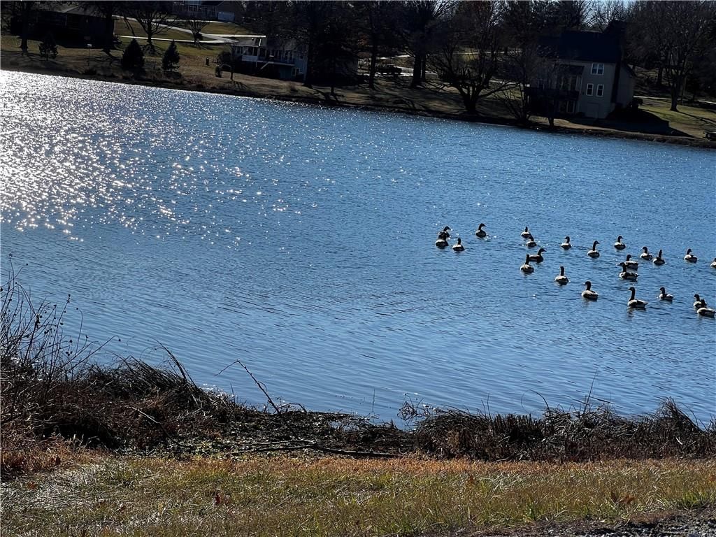 8987 Oak Country Lane — photo 7