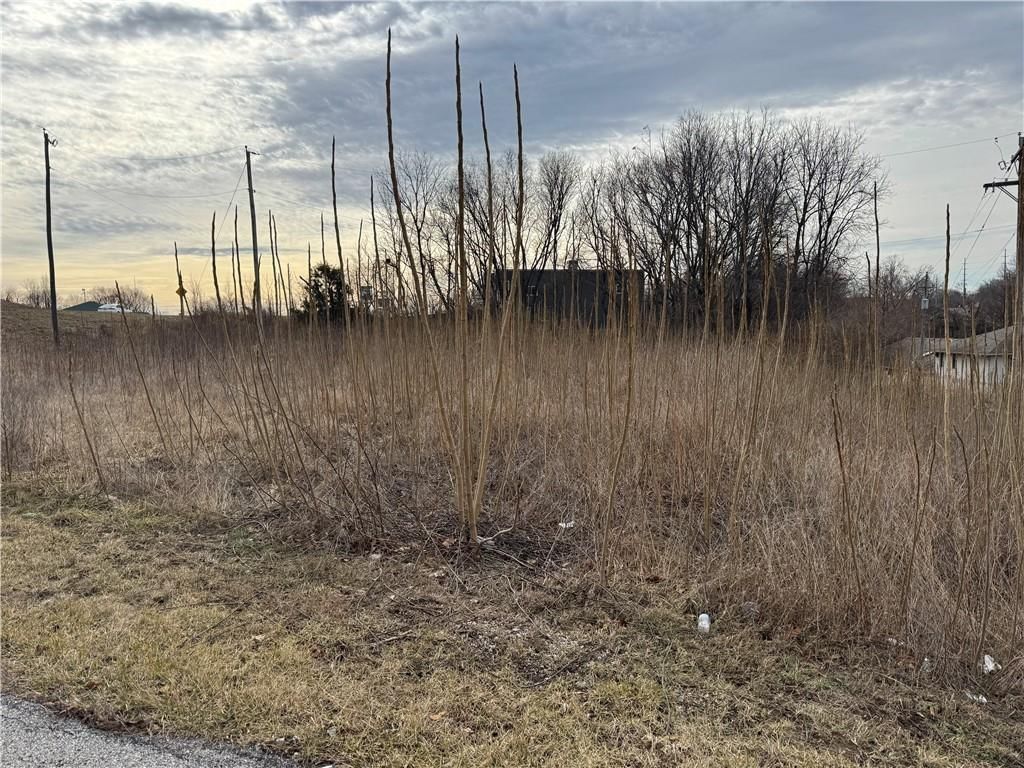 2900 S M 291 Highway — photo 6