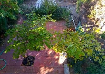 702 S Spruce Street — photo 60