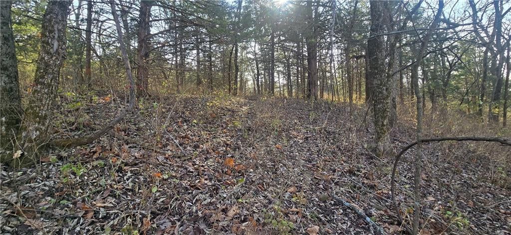 W 207th Street, Edgerton, KS: listing photo 3