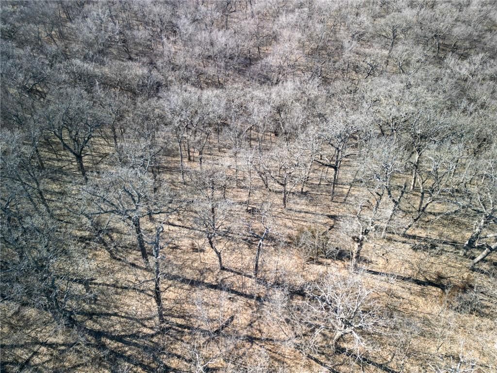0000 Gilsen Creek Road — photo 10