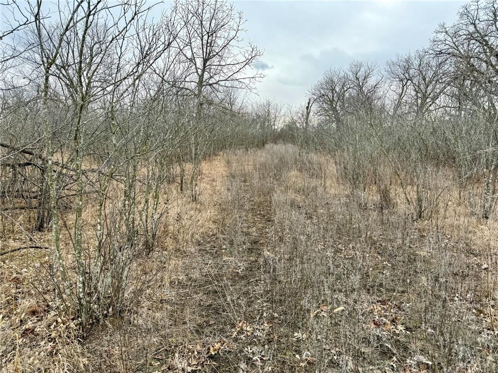 0000 Gilsen Creek Road — photo 23