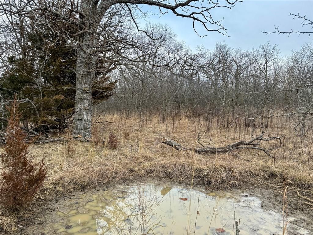 0000 Gilsen Creek Road — photo 24