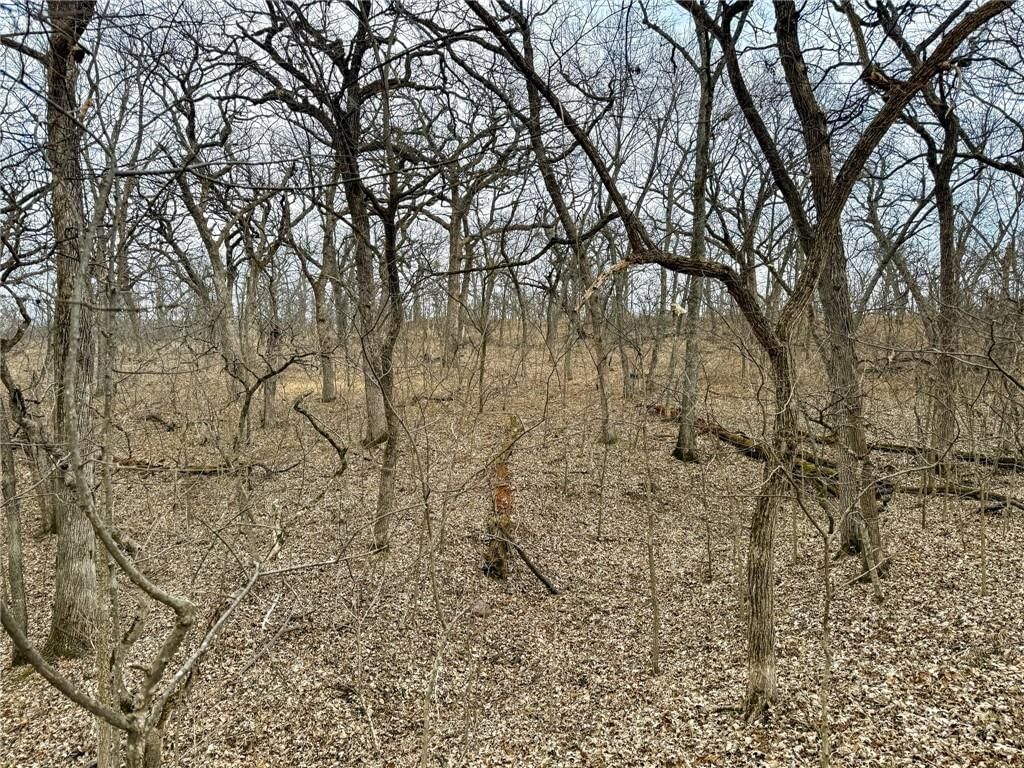 0000 Gilsen Creek Road — photo 27