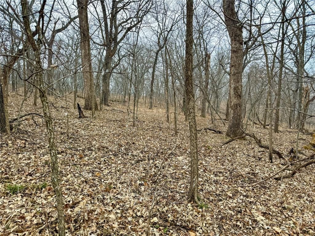 0000 Gilsen Creek Road — photo 28