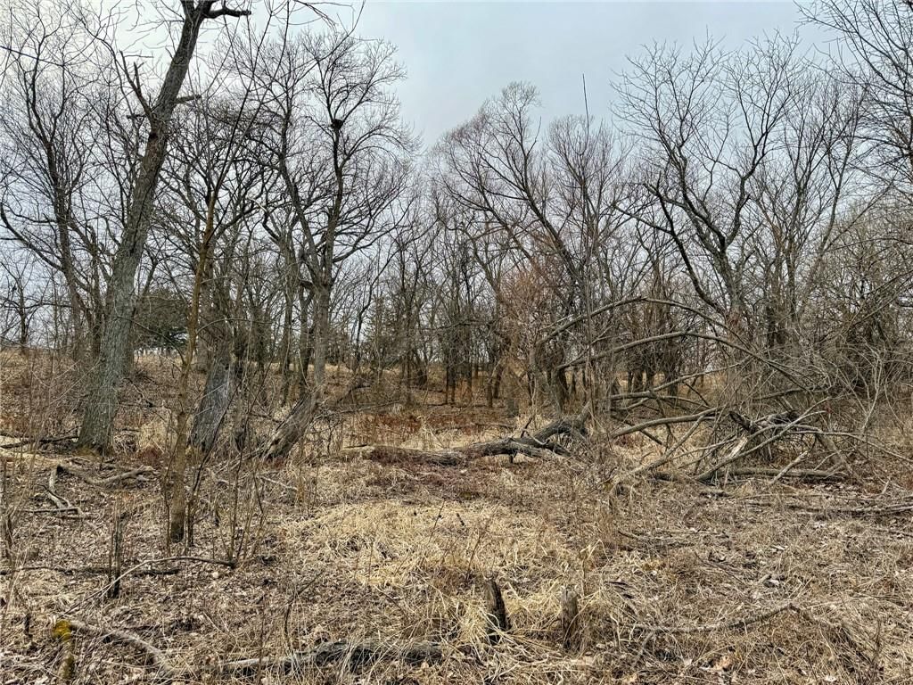 0000 Gilsen Creek Road — photo 39