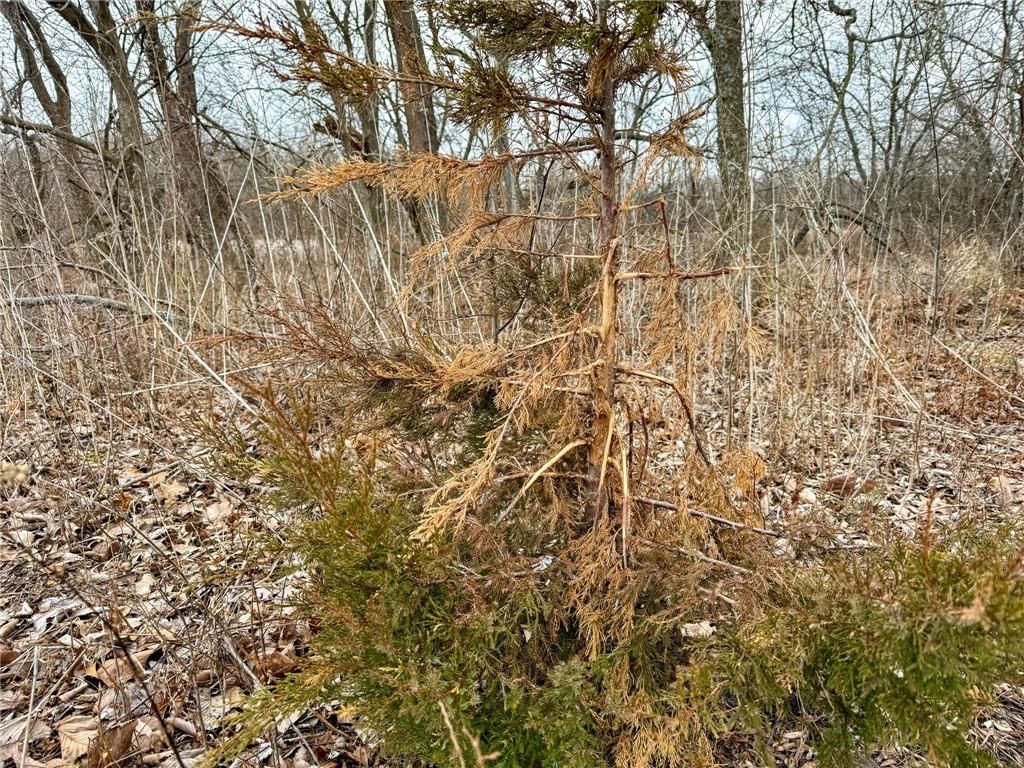 0000 Gilsen Creek Road — photo 42