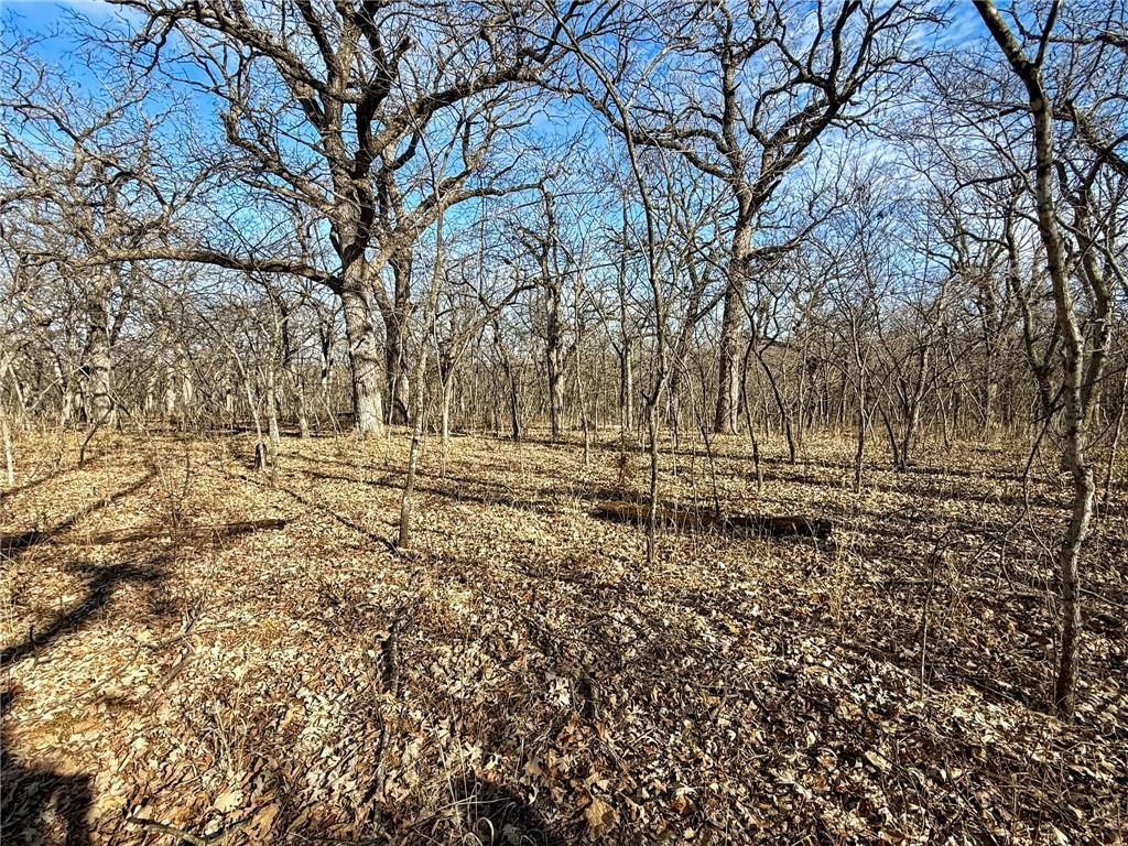 0000 Gilsen Creek Road — photo 49