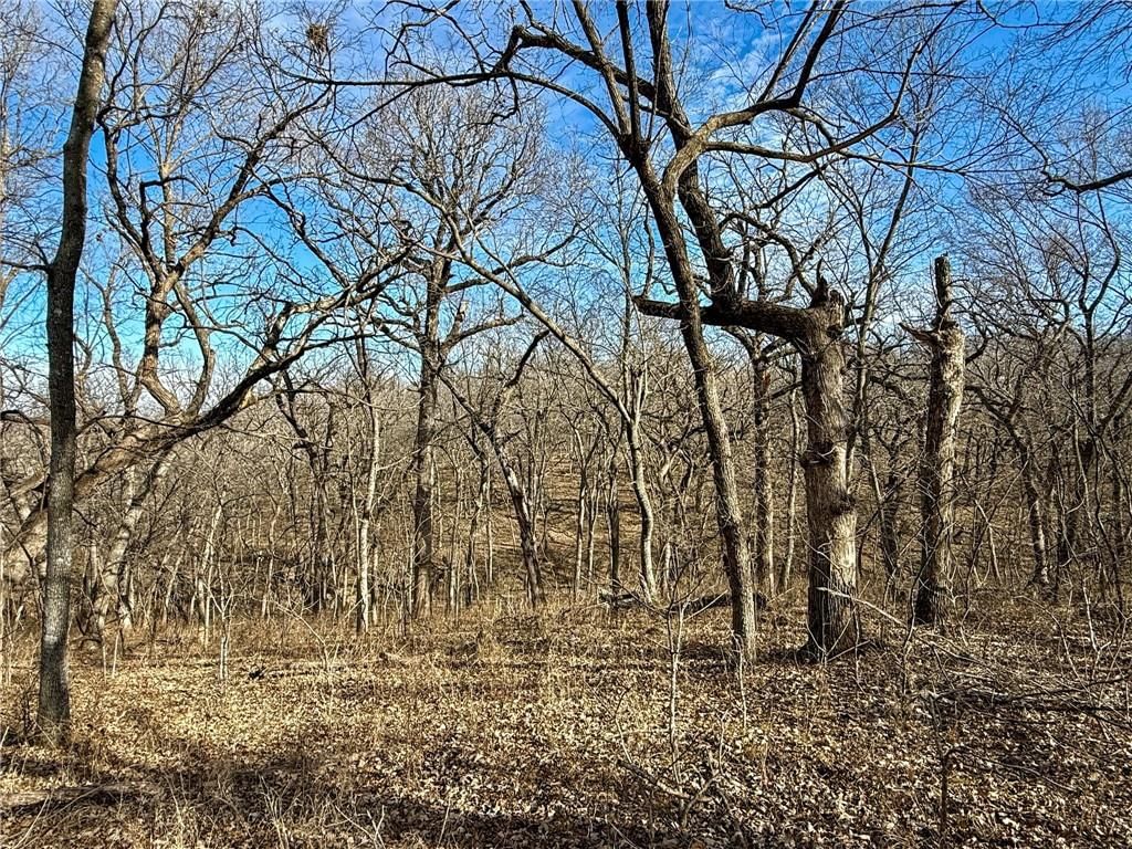 0000 Gilsen Creek Road — photo 51