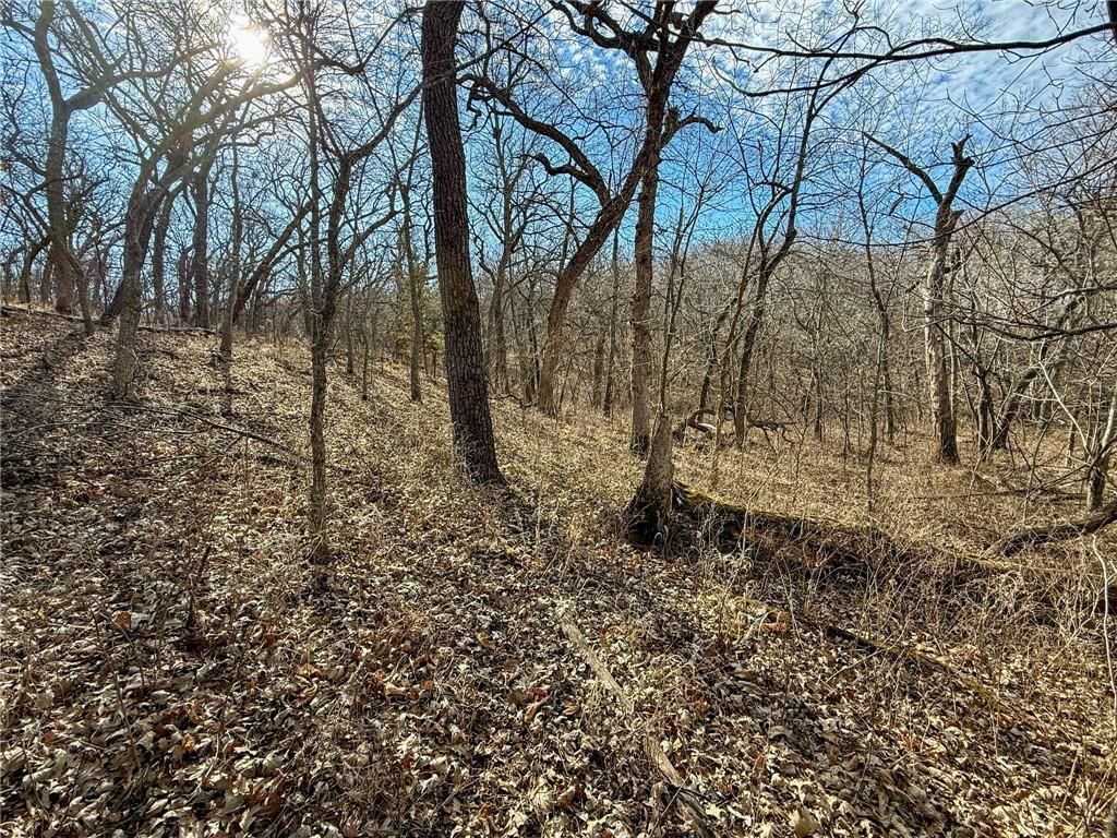 0000 Gilsen Creek Road — photo 57