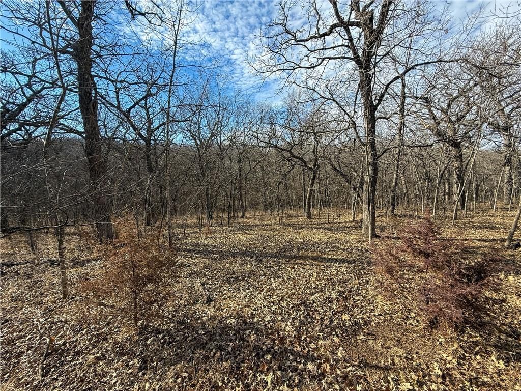 0000 Gilsen Creek Road — photo 60