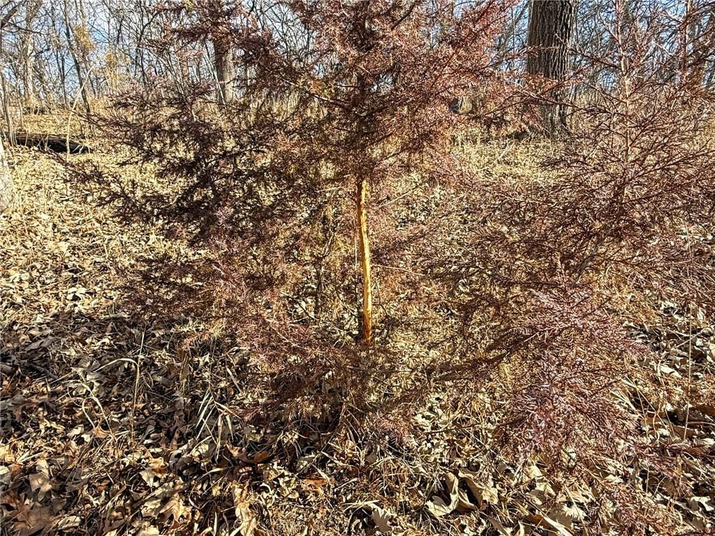 0000 Gilsen Creek Road — photo 62