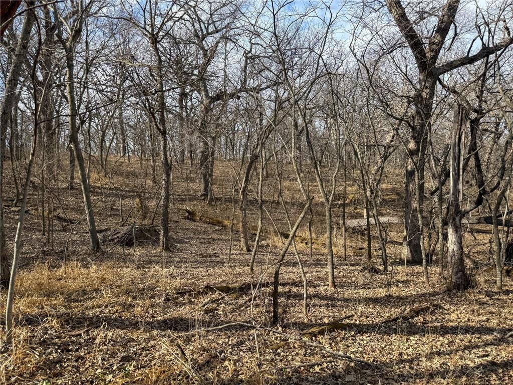 0000 Gilsen Creek Road — photo 64