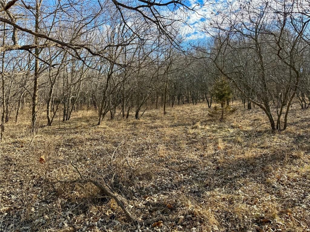 0000 Gilsen Creek Road — photo 67