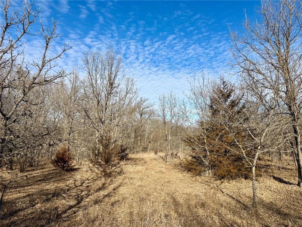 0000 Gilsen Creek Road — photo 69