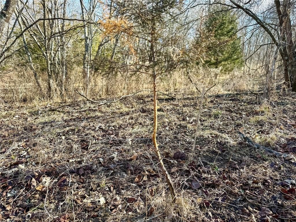 0000 Gilsen Creek Road — photo 70