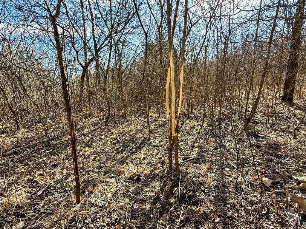 0000 Gilsen Creek Road — photo 72