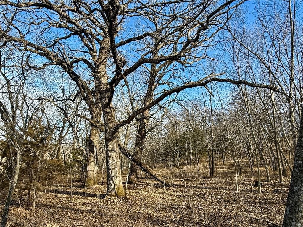 0000 Gilsen Creek Road — photo 73
