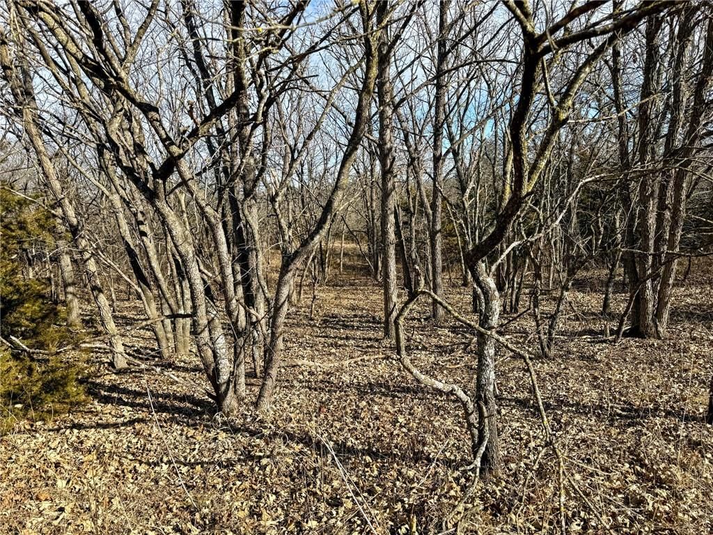0000 Gilsen Creek Road — photo 77