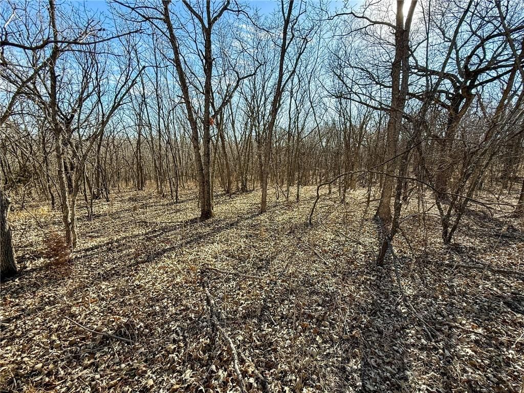 0000 Gilsen Creek Road — photo 78