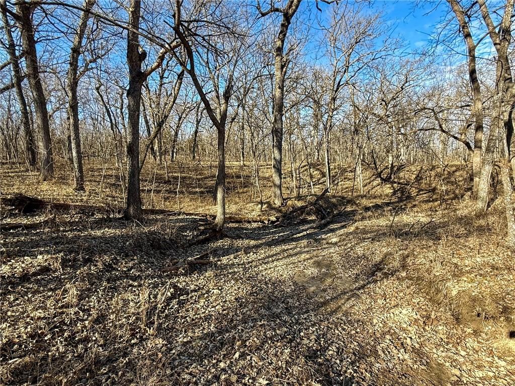 0000 Gilsen Creek Road — photo 81