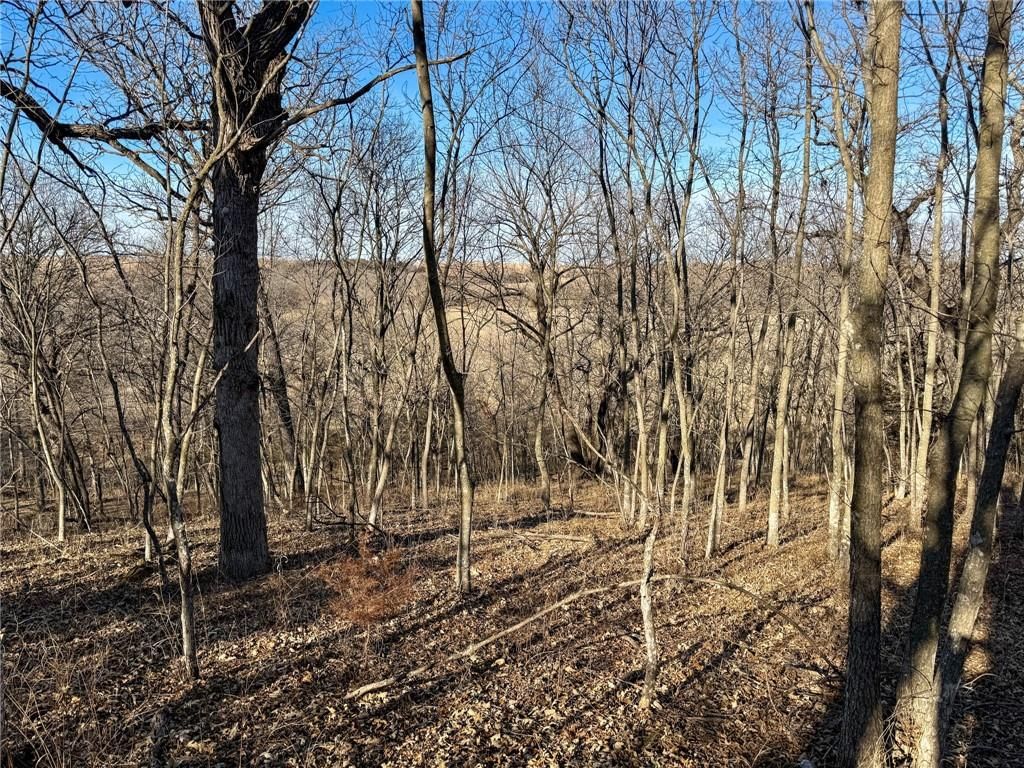 0000 Gilsen Creek Road — photo 84